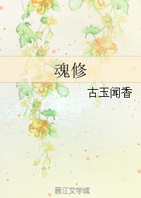 魂修星河