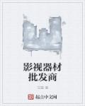 影视器材销售