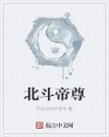 北斗帝尊免费阅读