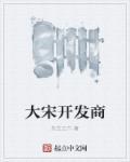 大宋什么