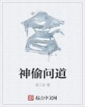 问道探案盗贼