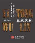 医统江山人物武功排行