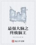 最强大脑脑王之王