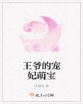 腹黑王爷狂萌妃全文