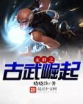 末世古武类