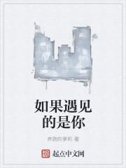 如果遇见你歌词