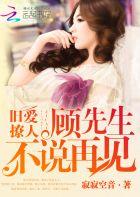 总裁前夫求复婚免费阅读