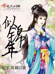 似锦年代背景