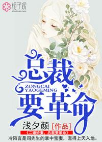 总裁要革命 浅夕颜