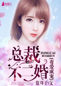 总裁不二婚免费阅读
