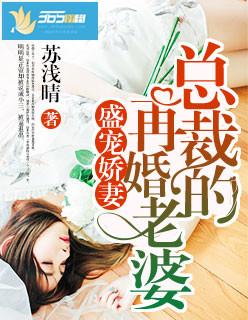 总裁的再婚老婆大结局