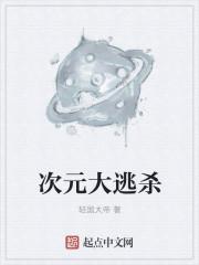 次元大作战手游