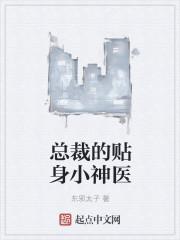 总裁的贴身小妻子