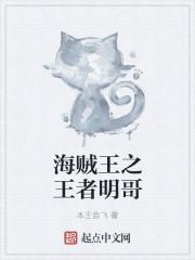 重生海贼王之王者明哥