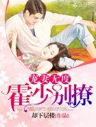 霍少宠妻无节制免费阅读