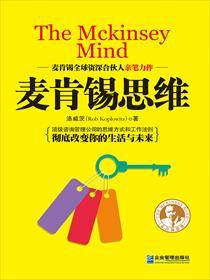 麦肯锡思维与图表轻松学