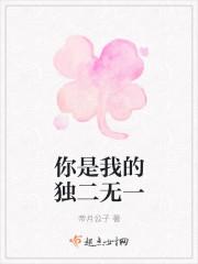 你是我的独一无二 翻译