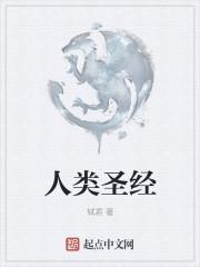 口袋妖怪漆黑冠军之路在哪里