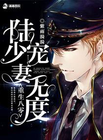 重生八零陆少宠妻无度紫雨漪漪书包网