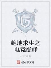 绝地求生之巅峰对决