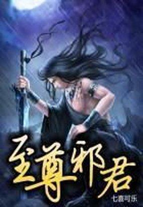 至尊邪皇介绍