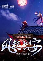 王者荣耀之风起长安全集