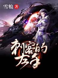 刺客的任务是什么