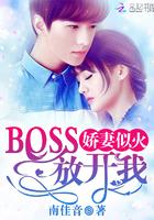 柏总追妻忙