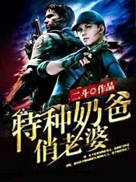 兵王奶爸系列