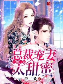 一胎两宝总裁宠妻