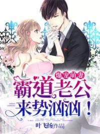 爆萌三宝之霸道老公甜甜妻最新章节