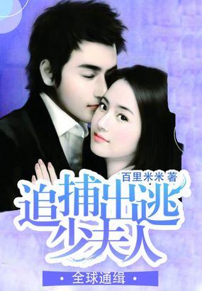 全球通缉少夫人免费阅读