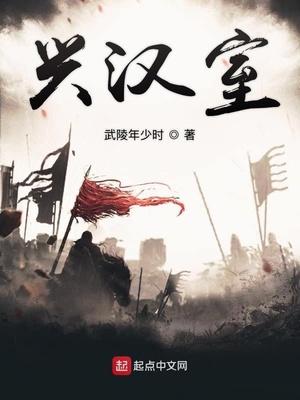 兴汉室TXT完本