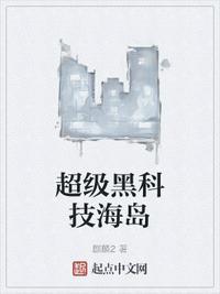 高科技岛屿