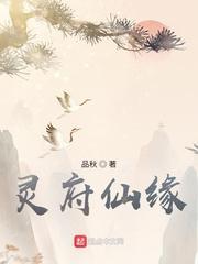 灵府仙缘全本TXT