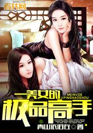 美女的极品高手无删减