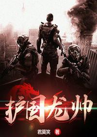 护国帅神叶无道