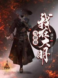 我在大明当卧底 书评