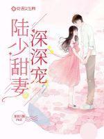 陆少甜蜜宠妻陆琛