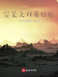 完美之双重卧底白夜的成长记录