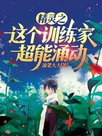 精灵之精英训练家