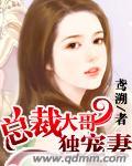 总裁大哥独宠妻 鸢溯