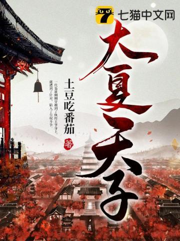 大夏天子免费观看全集