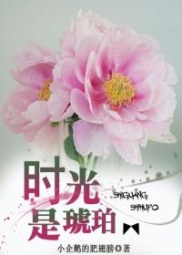 时光像琥珀歌词是什么意思