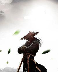 妖娆丹药师傻王追妻 起司猫钱多多