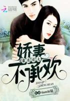 霸道前夫 老婆不好当