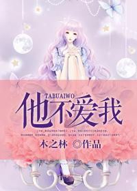 他不爱我金莎的歌词