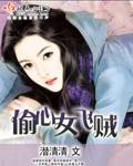 偷心女贼高清