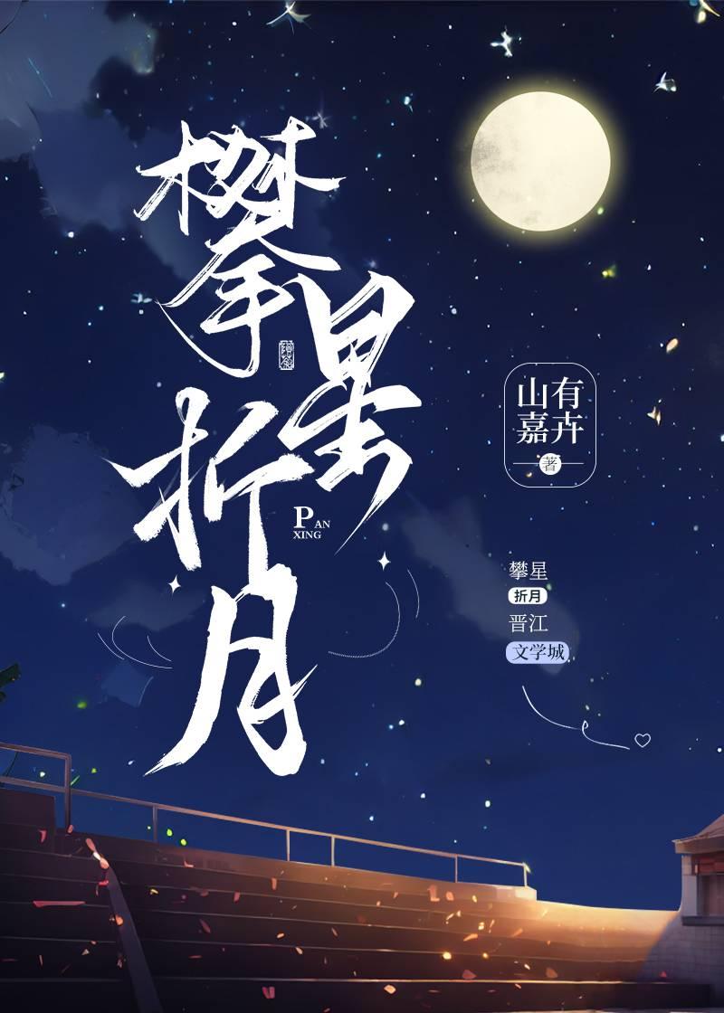 攀星折月免费阅读全文