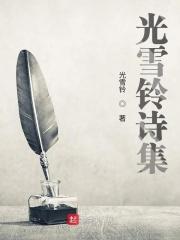 鎏光诗集全部作品